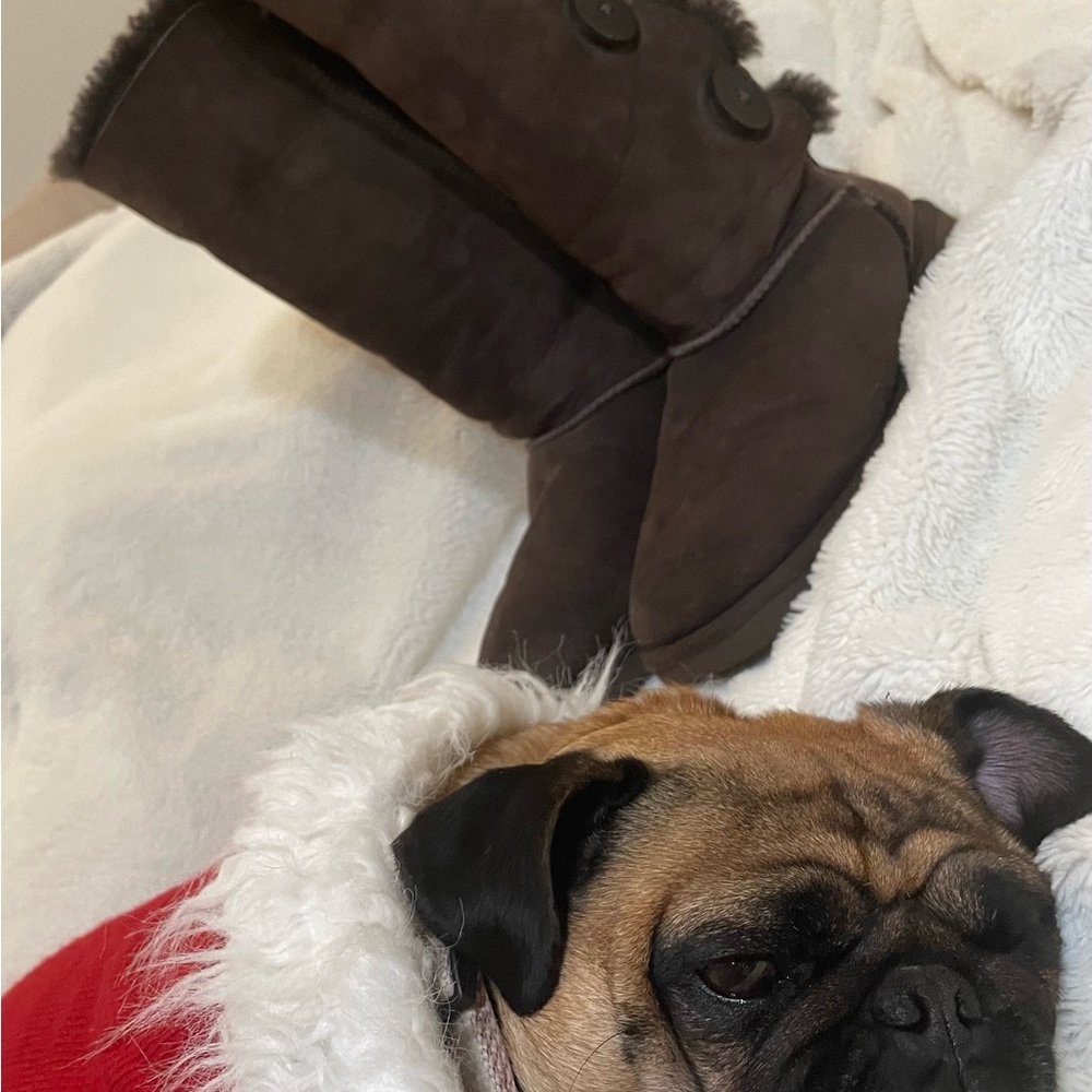 Ugg Bailey Boot - image 3